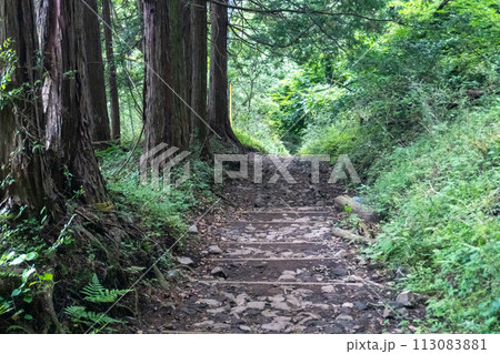 蛭ヶ岳山頂 113083881