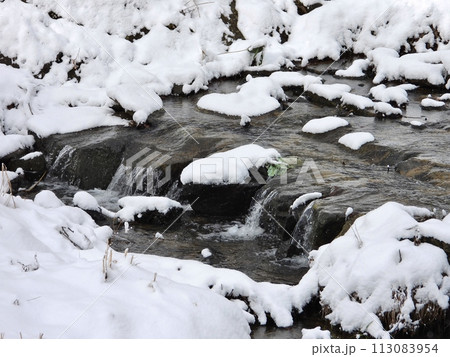 早春の荏沢川の雪景色 113083954