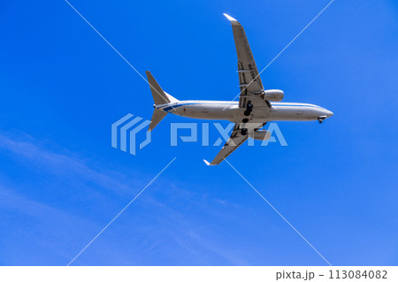 《飛行機》ボーイング Boeing 737NG > 737-800 113084082