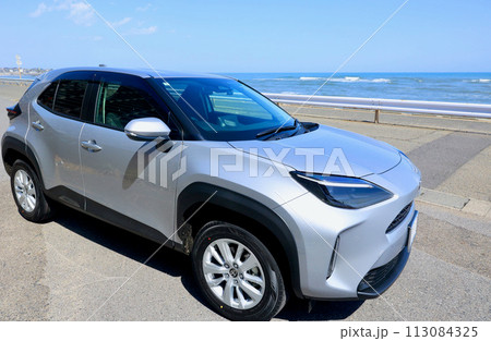 自動車と海 113084325