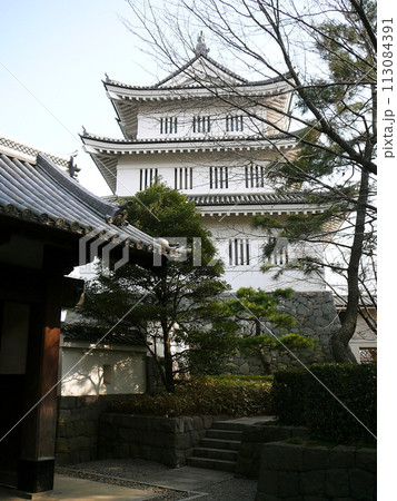 埼玉県／忍城址の御三階櫓 113084391