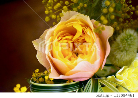 バラの花 バラの花 113084461