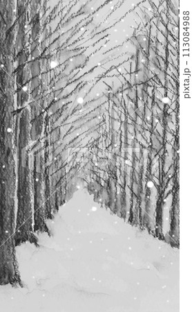 水彩で描いた雪の降る森の風景モノトーンイラスト【手描き】 113084988