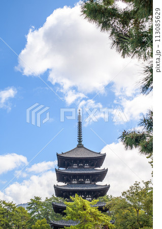 国宝 興福寺五重塔 奈良県 国宝 興福寺五重塔 奈良県 113085629