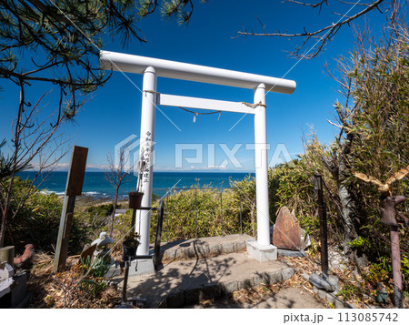 千葉県館山市　洲崎神社の富士遙拝展望台の鳥居　3月 113085742