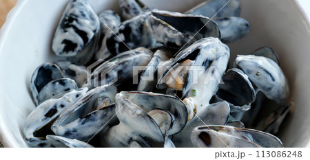 close up of marinieres mussels, a French recipe with shallot and white wine. High quality photo close up of marinieres mussels, a French recipe with shallot and white wine. High quality photo 113086248