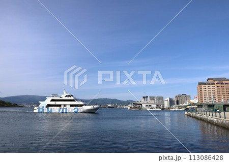 【北海道】函館湾に入る観光遊覧船ブルームーン 113086428