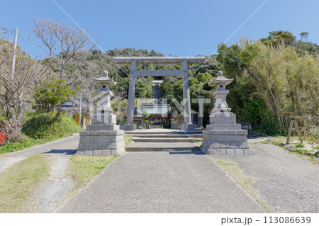 千葉県館山市 春の洲崎神社の参道 千葉県館山市 春の洲崎神社の参道 113086639