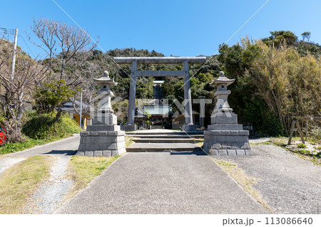 千葉県館山市 春の洲崎神社の参道 千葉県館山市 春の洲崎神社の参道 113086640