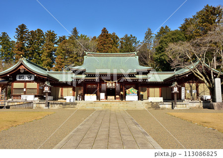 春の護国神社 春の護国神社 113086825
