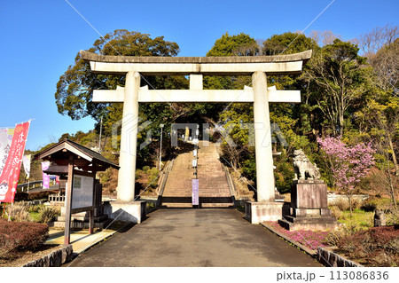 春の護国神社 春の護国神社 113086836