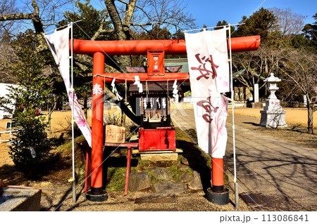 春の護国神社 113086841