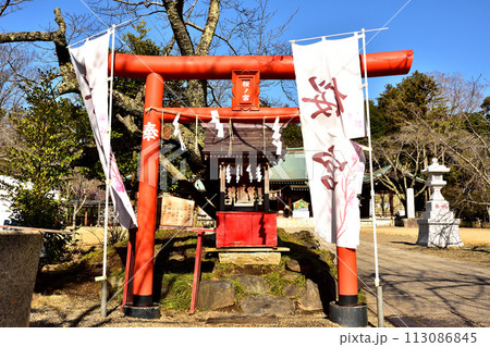春の護国神社 113086845