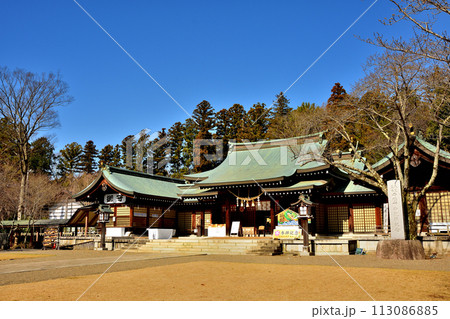 春の護国神社 113086885