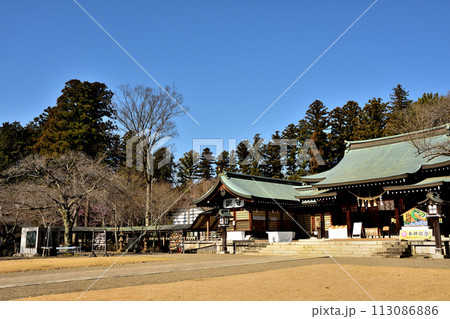 春の護国神社 春の護国神社 113086886