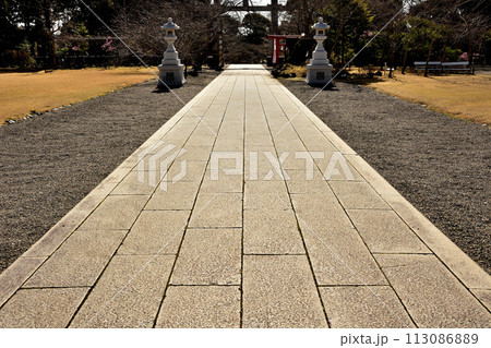 春の護国神社 春の護国神社 113086889