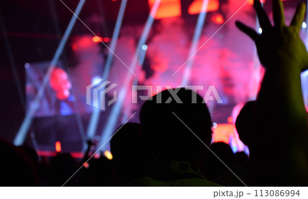 ライブ会場の盛り上がり ライブ会場の盛り上がり 113086994