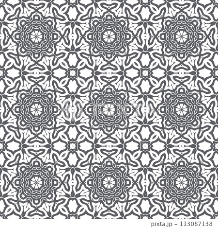 Elegant very beautiful gray and white seamless pattern. Ornamental style tribal ethnic background 113087138