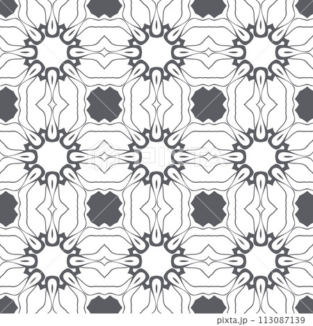 Elegant very beautiful gray and white seamless pattern. Ornamental style tribal ethnic background 113087139