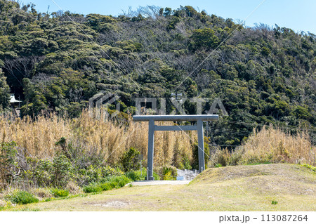 千葉県館山市　春の洲崎神社　一の鳥居（浜鳥居）と御手洗山 113087264