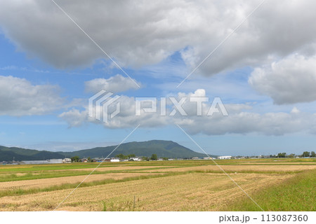 弥彦山と田園風景（新潟県新潟市） 113087360