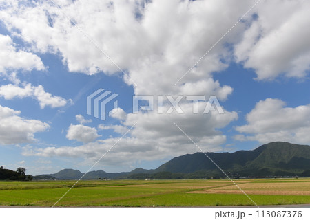 弥彦山と田園風景(新潟県新潟市) 弥彦山と田園風景(新潟県新潟市) 113087376