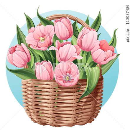 Wicker basket with pink tulips on an isolated background. Suitable for Easter, Women s Day. Vector spring illustration. Gift for mom. 113087486