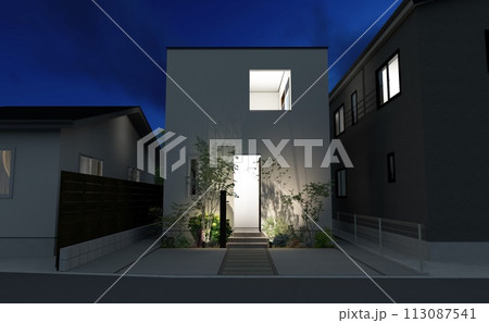 雑木の影が美しい素敵なシンプルモダンデザインの建物の夜景 雑木の影が美しい素敵なシンプルモダンデザインの建物の夜景 113087541