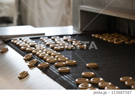Industrial line for the production of brooches and biscuits 113087587