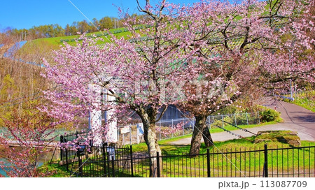 漁川ダム 恵庭発電所の桜風景 113087709