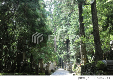 高野山・奥之院(和歌山県高野町) 高野山・奥之院(和歌山県高野町) 113087934