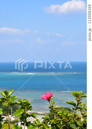沖縄イメージ 知念半島より太平洋 沖縄イメージ 知念半島より太平洋 113088168