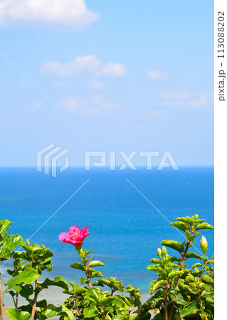 沖縄イメージ　知念半島より太平洋 113088202
