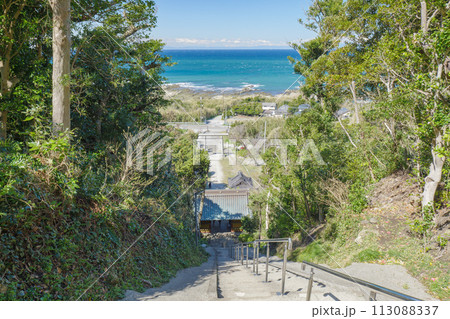 洲崎神社の本殿からの参道と太平洋の眺め 113088337
