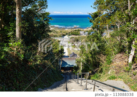 洲崎神社の本殿からの参道と太平洋の眺め 113088338
