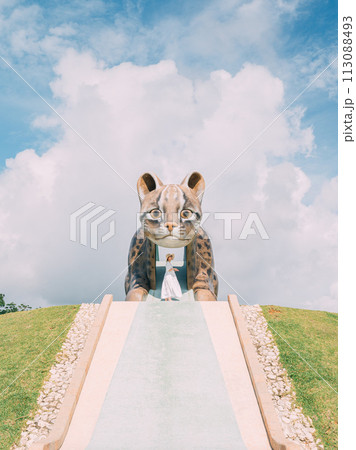 ンママキーやまねこパーク ンママキーやまねこパーク 113088493