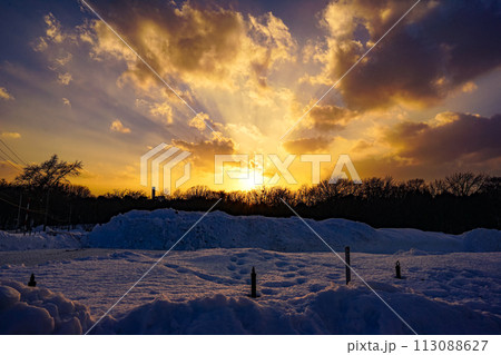 さっぽろ羊ヶ丘展望台からの夕日 113088627