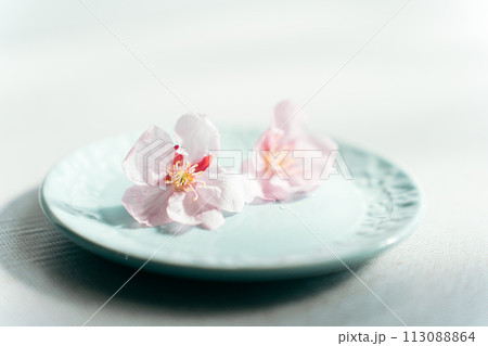 お皿に乗っている桜の花 お皿に乗っている桜の花 113088864