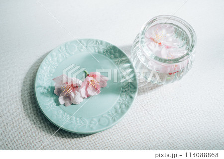 ガラスの器に入った桜の花 ガラスの器に入った桜の花 113088868