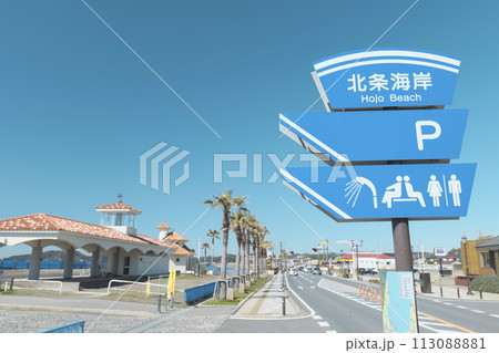 春の千葉県館山市の北条海岸　3月 113088881