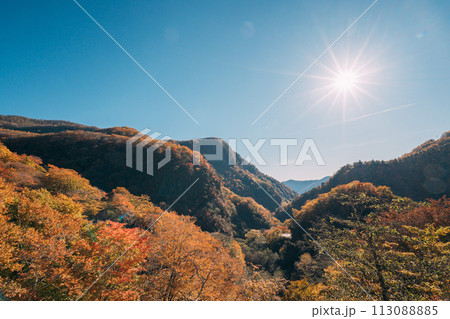 いろは坂から見る紅葉した山々 113088885