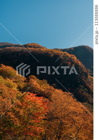 いろは坂から見る紅葉した山々 113088886