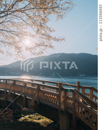 紅葉の中禅寺湖と湖面に映える景観 113088893