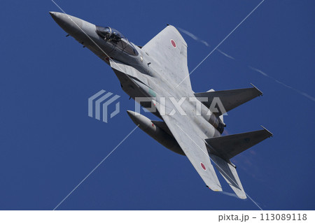 F-15 イーグル F-15 イーグル 113089118