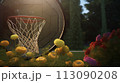 Serene Backyard Basketball Hoop View 113090208