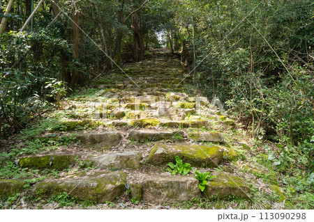 観音寺城趾の石段(滋賀県近江八幡市) 観音寺城趾の石段(滋賀県近江八幡市) 113090298