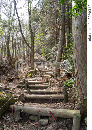 繖山の北尾根（滋賀県東近江市） 113090315