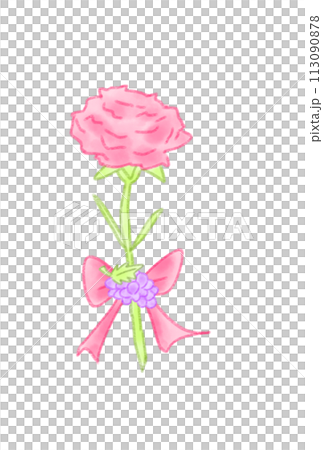  Carnation on Mother's Day 113090878