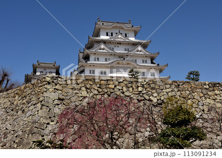 世界文化遺産姫路城 世界文化遺産姫路城 113091234