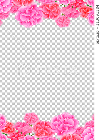 Gorgeous carnation frame background Mother's Day White background Transparent Vertical Gorgeous carnation frame background Mother's Day White background Transparent Vertical 113091384